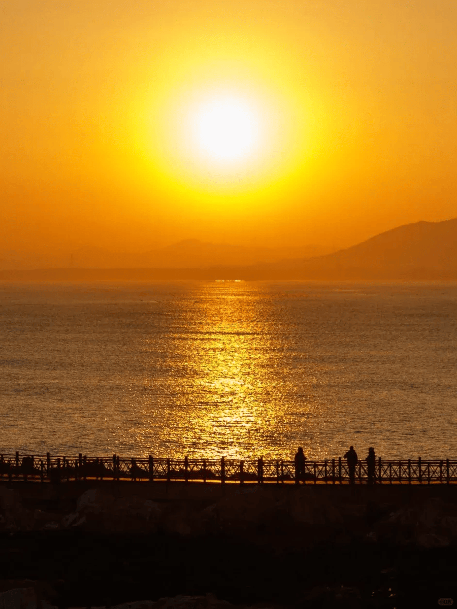 Jamie Case tweet media