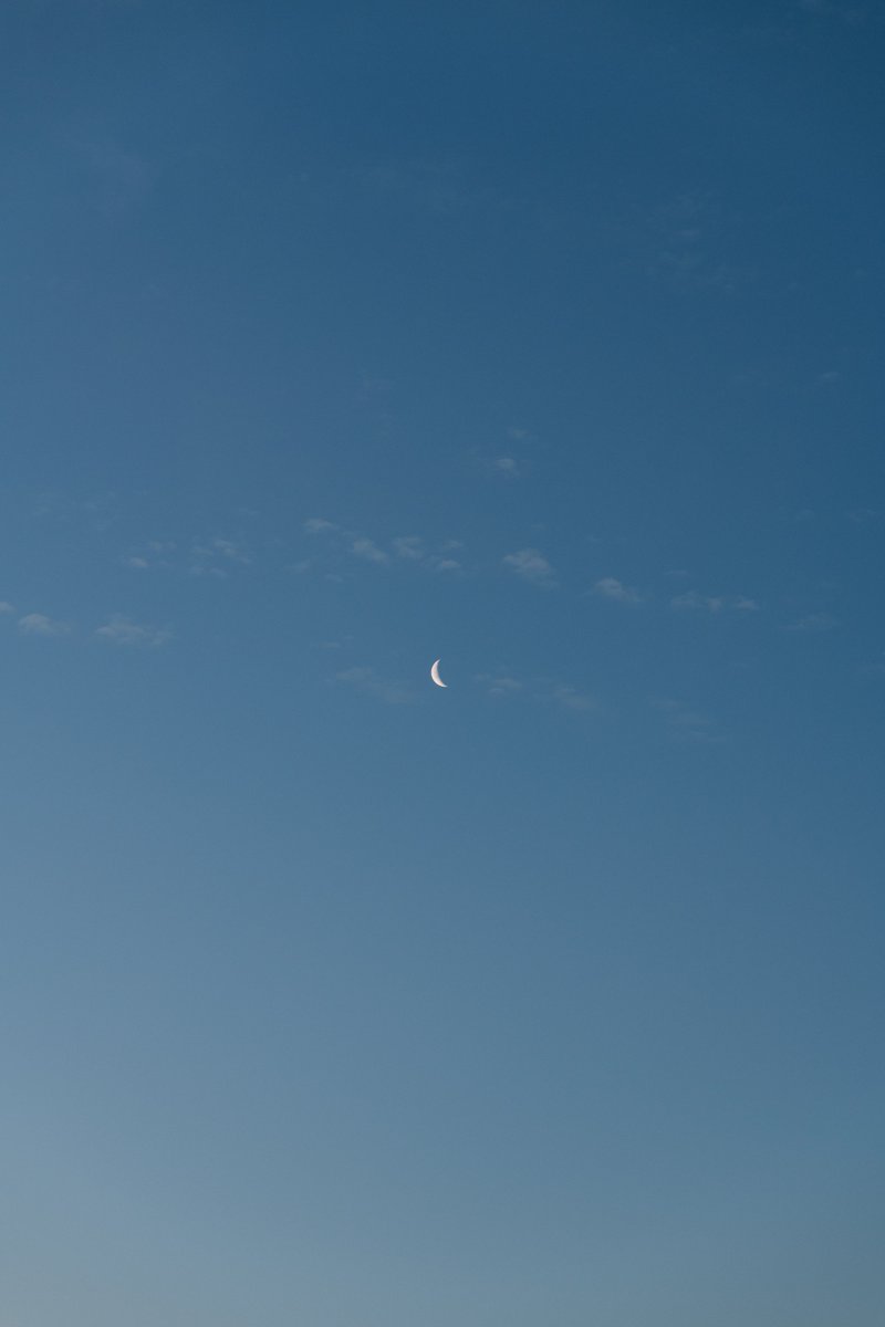 アキモト tweet media