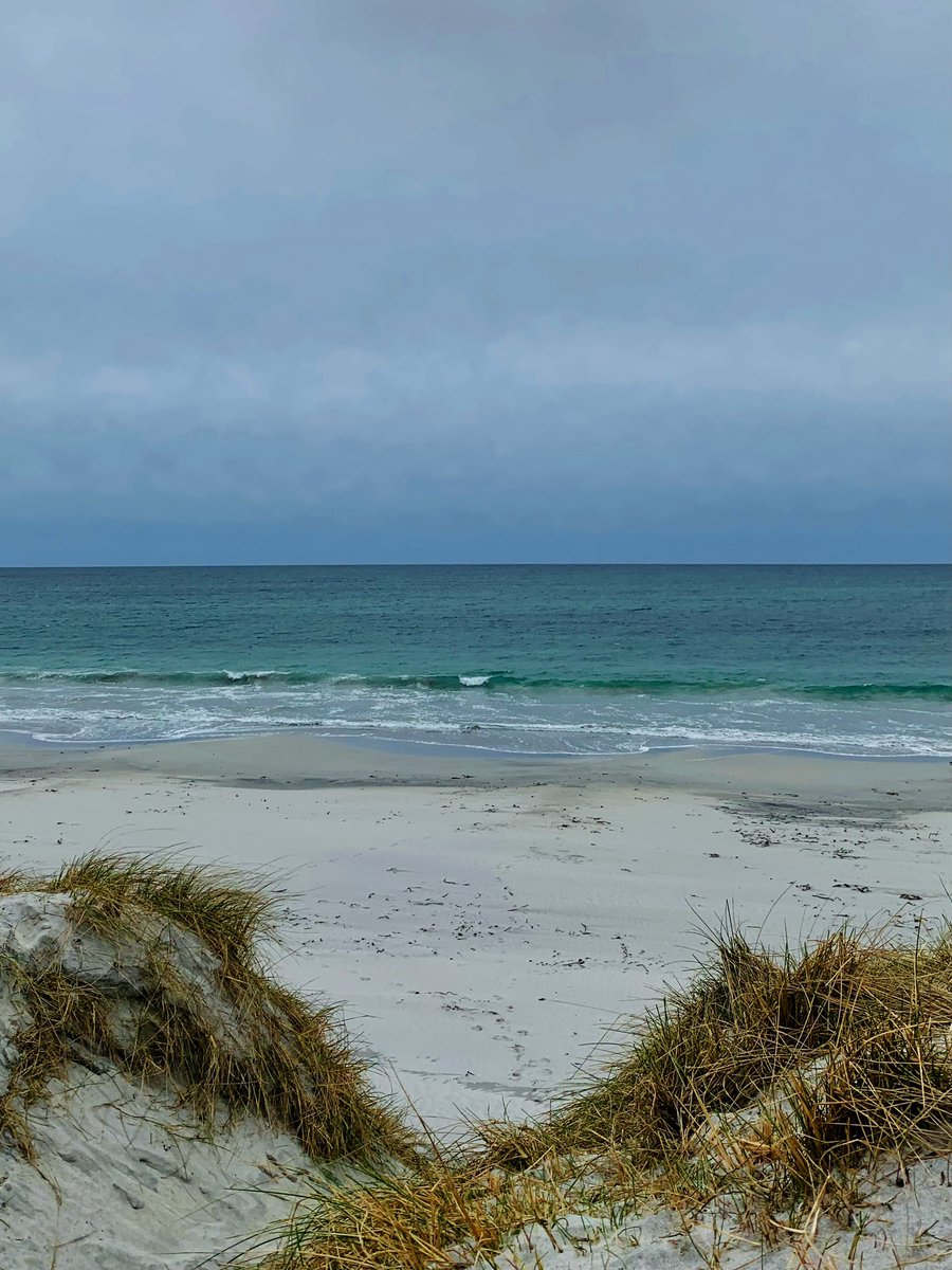 frenchscotjeff's tweet image. Good Morning beautiful world 
🌍 💙

#WednesdayMotivation #spring #weather #seatherapy #GoodVibesOnly #StormHour #jefinuist #outerhebrides #scotland