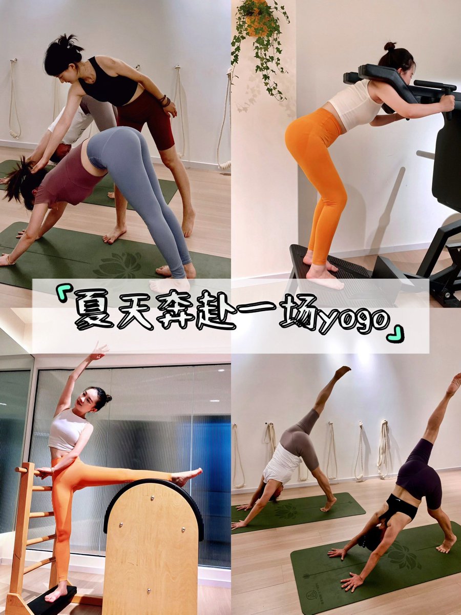 Ashlee Gauss tweet media