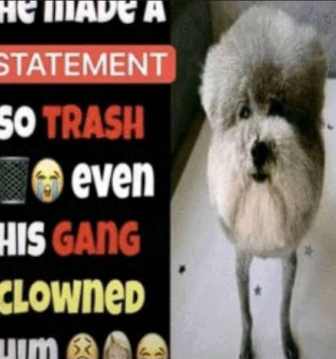 sunny !! tweet media