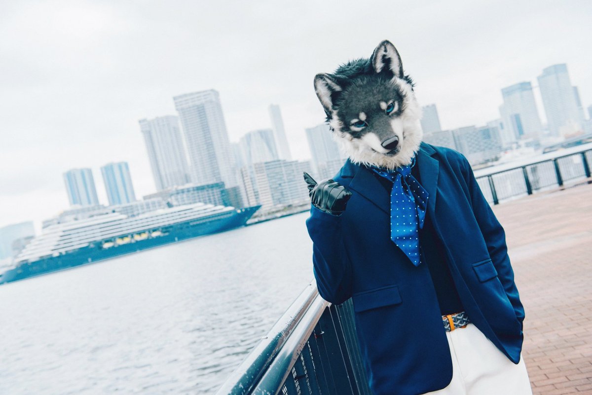 Kohaku 琥珀 tweet media