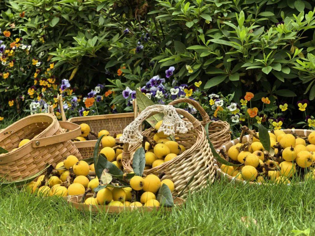 FrancesHijazin's tweet image. NEW FIND: Organic Rainbow Carrots! Crisp, sweet (no bitter aftertaste!), vibrant colors that jazz up salads/stir-fries. Zero chemicals, perfect for health nuts u0026 food stylists. Grab a pack—your plate (and taste buds) will thank you! #OrganicEats #CarrotLove #HealthySnacks