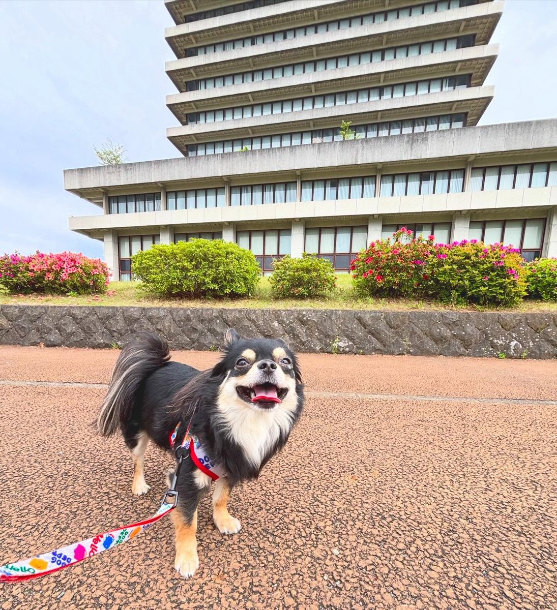 あやみ ✻ tweet media