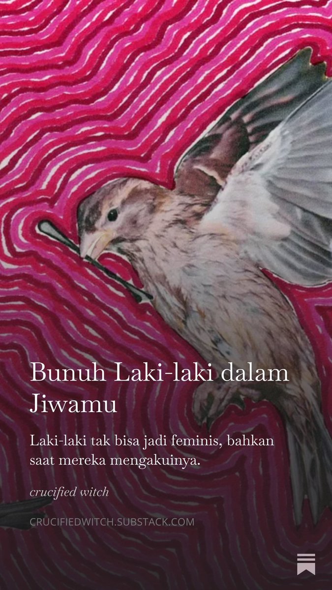 dorothea 📚😺 tweet media