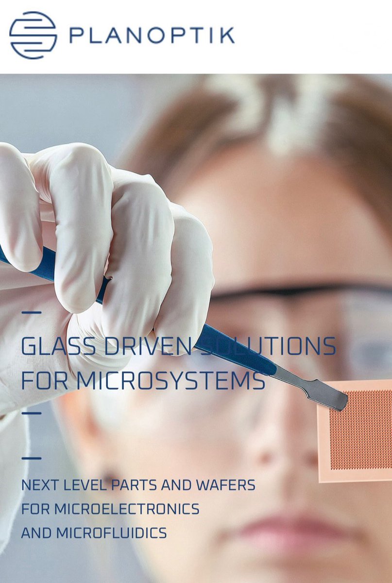 elpistollero invest tweet media