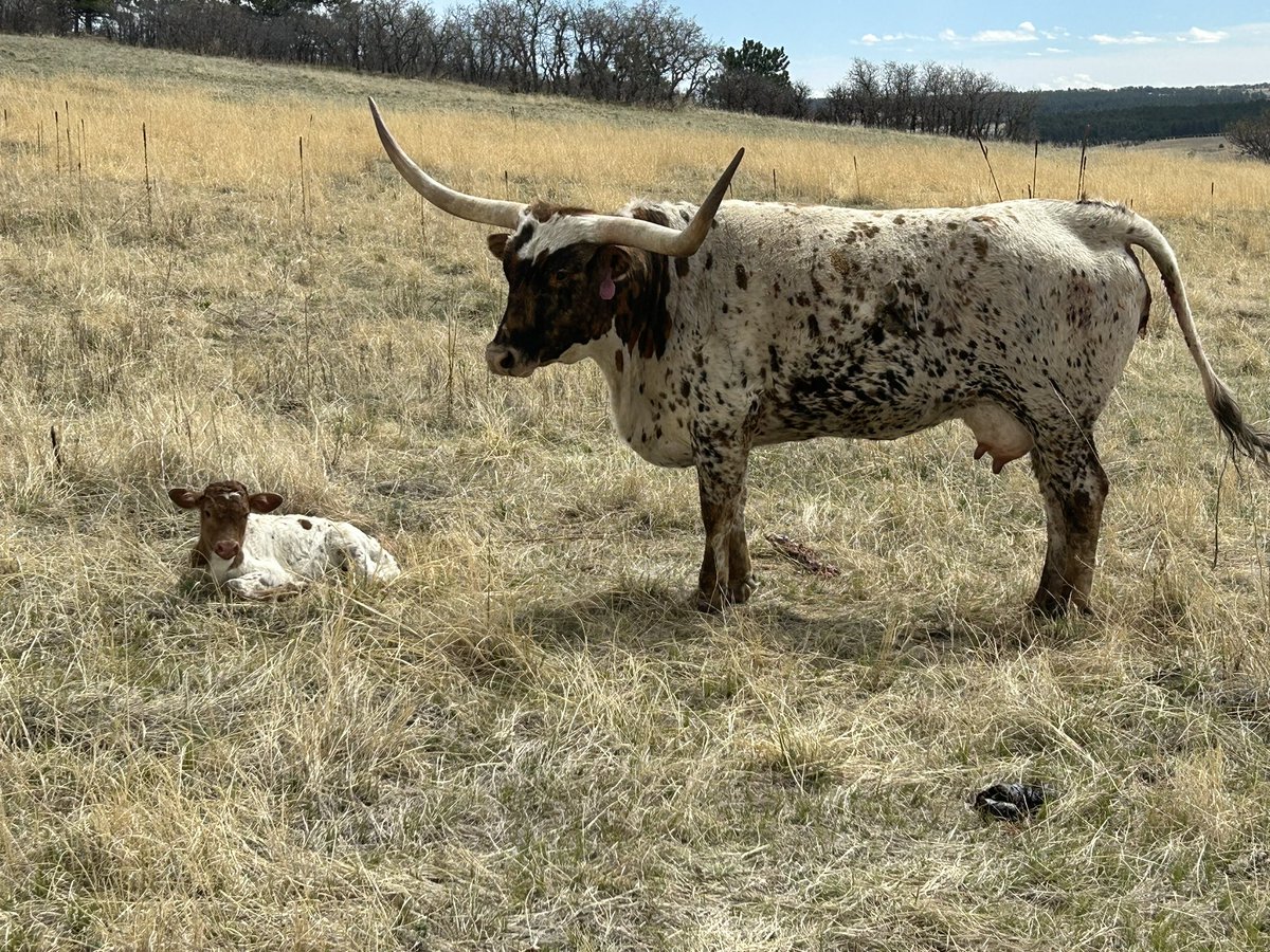 Amy Hunt tweet media