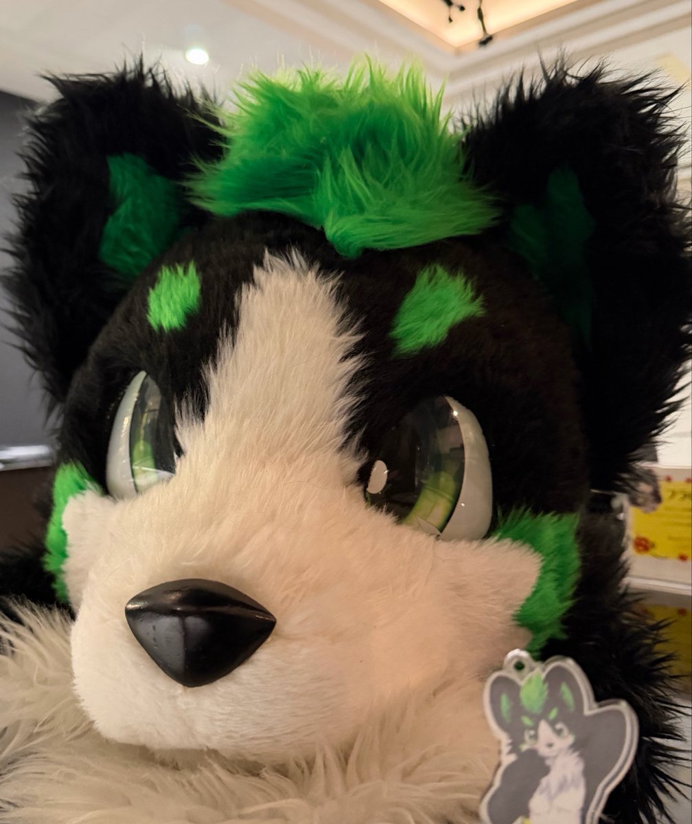 宗像達應 宗タツオ 旅館こいと tweet media