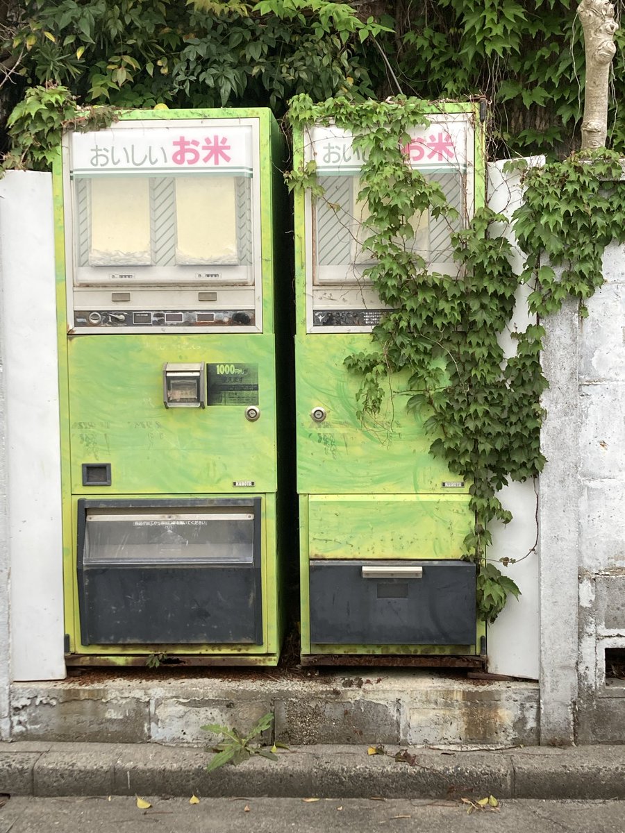 sankaku(ザメル) tweet media