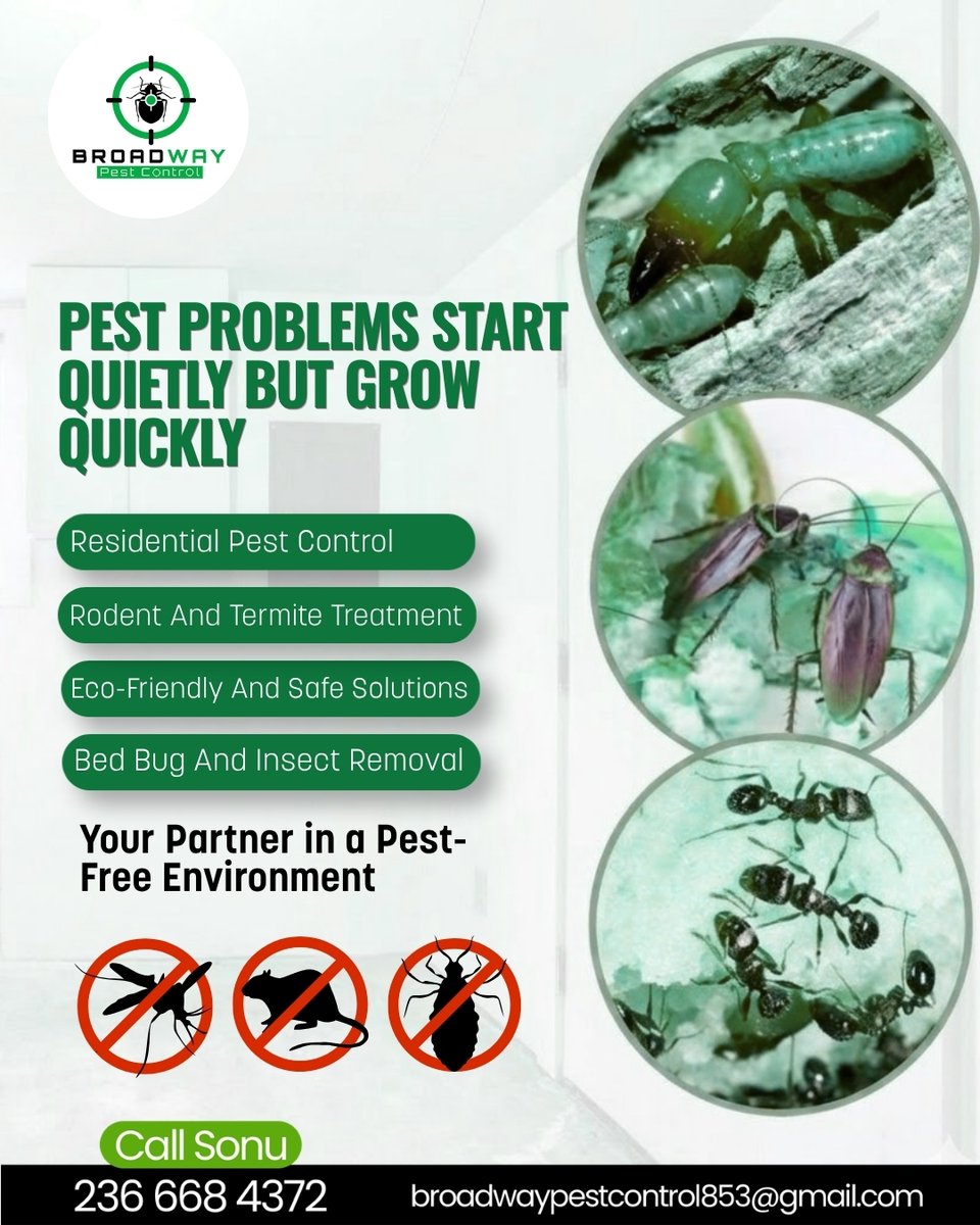 BroadPest93579's tweet photo. Pests grow fast—act early 🐜
Surrey | Broadway Pest Control

📞 Call now: 236 668 4372
🌐 https://t.co/gMEHxz80kf

#pestcontrol #surreybc #rodentcontrol #termitecontrol #broadwaypestcontrol https://t.co/Lk5rBPKTvD