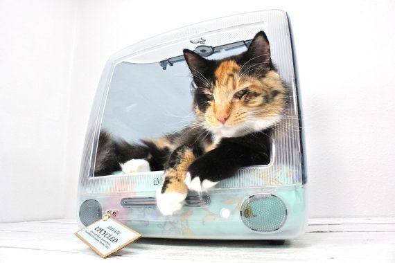 Dotcom📟🌐 tweet media