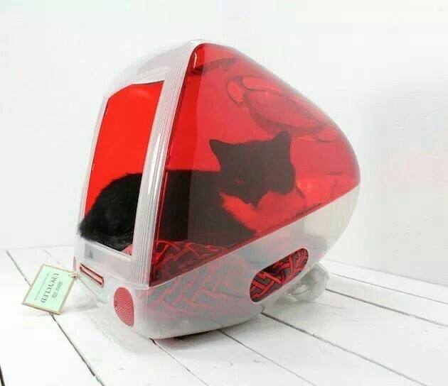 Dotcom📟🌐 tweet media