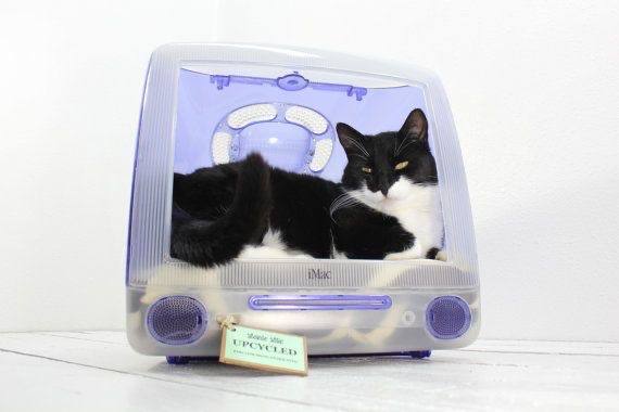 Dotcom📟🌐 tweet media