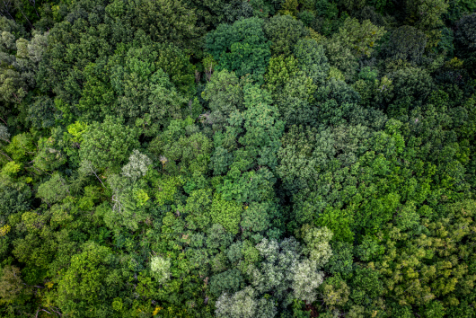 Euractiv tweet media