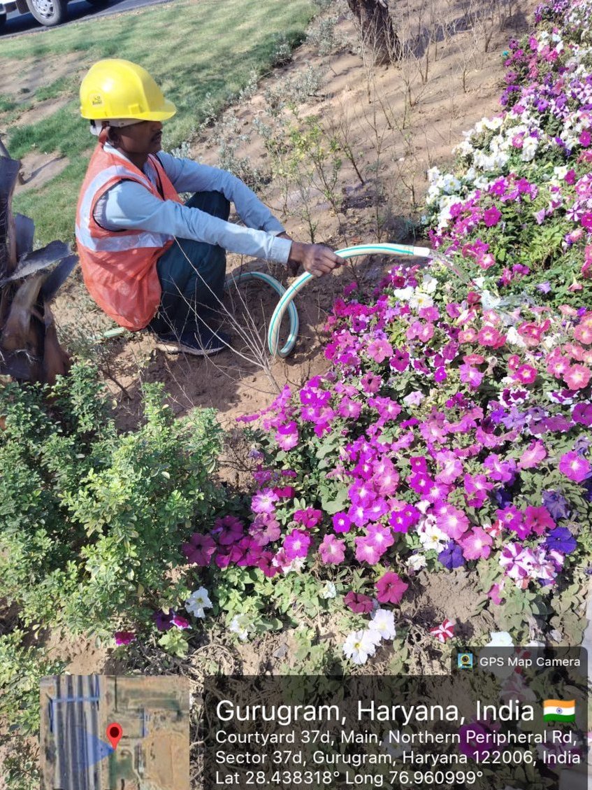OfficialGMDA's tweet image. Greener Corridors Taking Shape 🌱
- Development and maintenance of green belts in Sector 37D along Dwarka Expressway are being carried out to expand green spaces and support a healthier environment. 🍀 🌿 ☘️
#UrbanGreening #GreenSpaces #SustainableCities #EcoFriendly