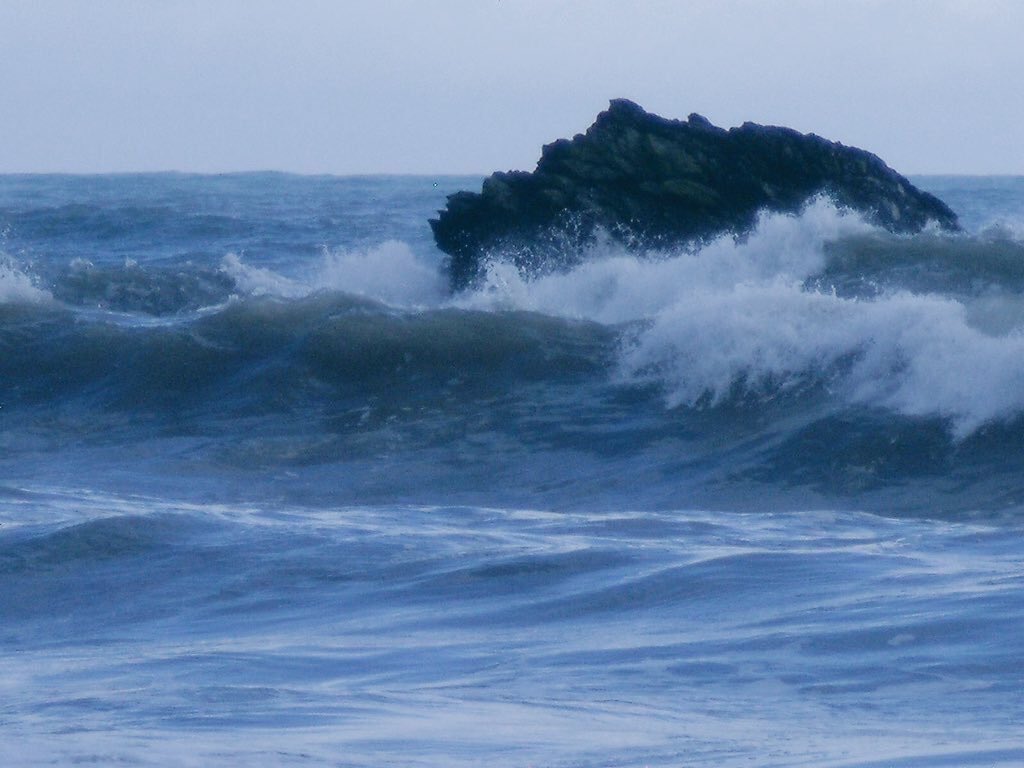 Anthony Rhead (On hiatus) tweet media