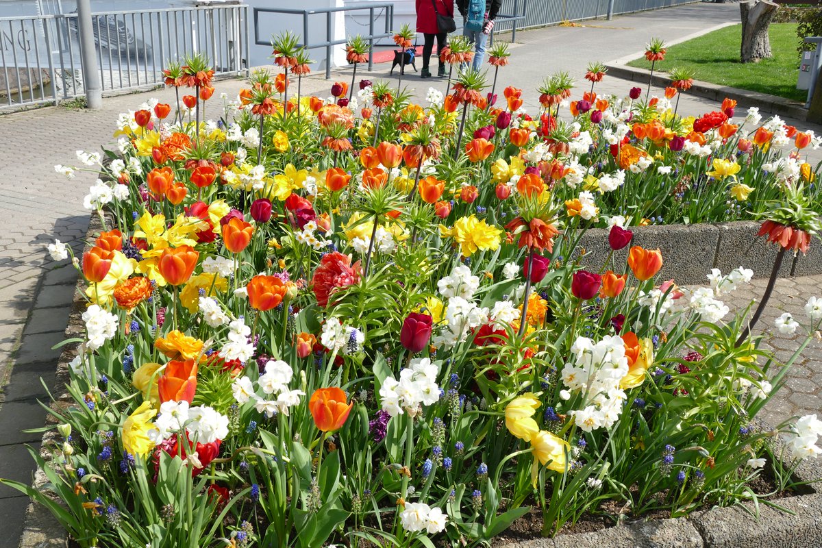 Guten Morgen ihr Lieben, 👋☕️💛😘
wünsche euch einen wunderschönen Tag. Passt auf euch auf und bleibt gesund. Den Kranken wünsche ich eine vollständige und schnelle Genesung.

Heute wird es schön, habt eine sonnige Wochenmitte.