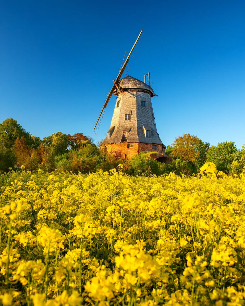 Simge 🍂☔🍁 tweet media