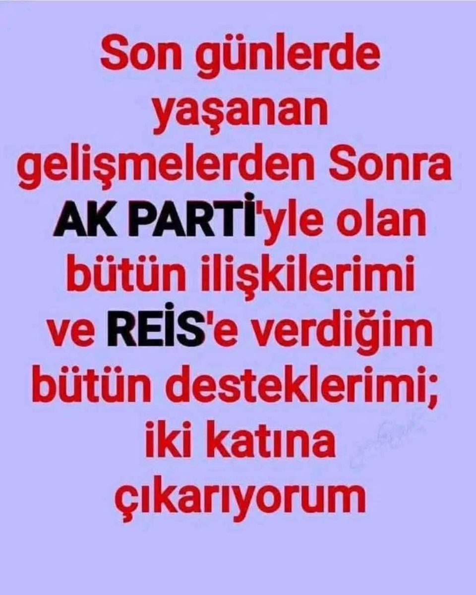 Selin Yılmaz tweet media