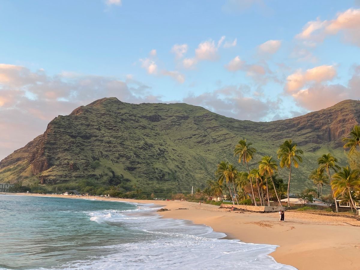 جمال الطبيعة tweet media