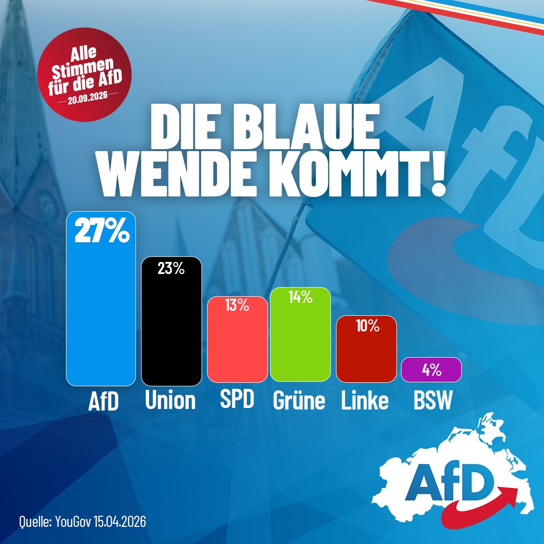 AfD MV tweet media
