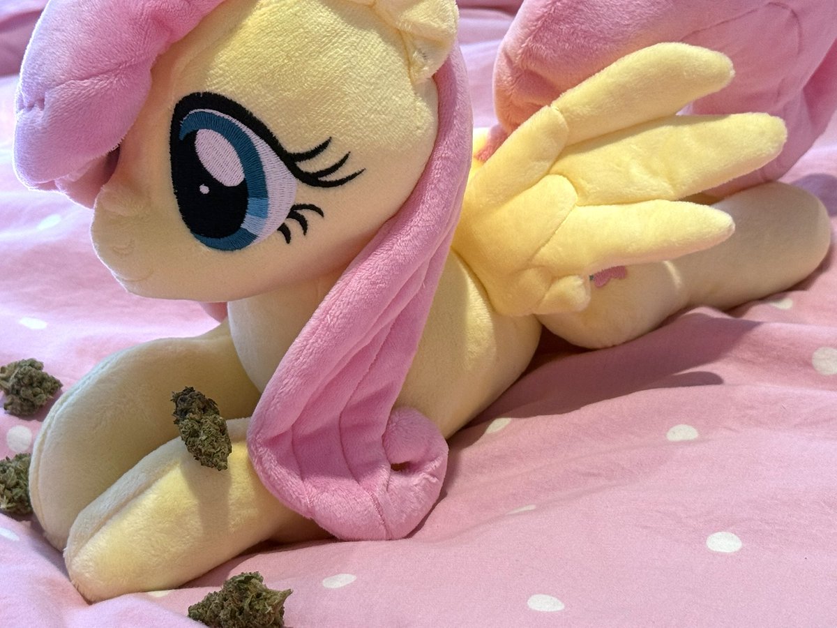 fawn ﾉ bun ˖ . ݁ ໒꒱ tweet media