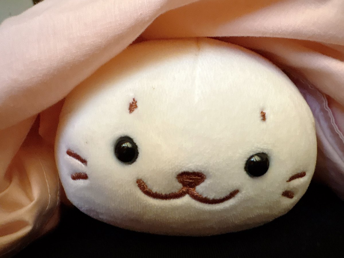 まこちゃん🩵(えむこ) tweet media