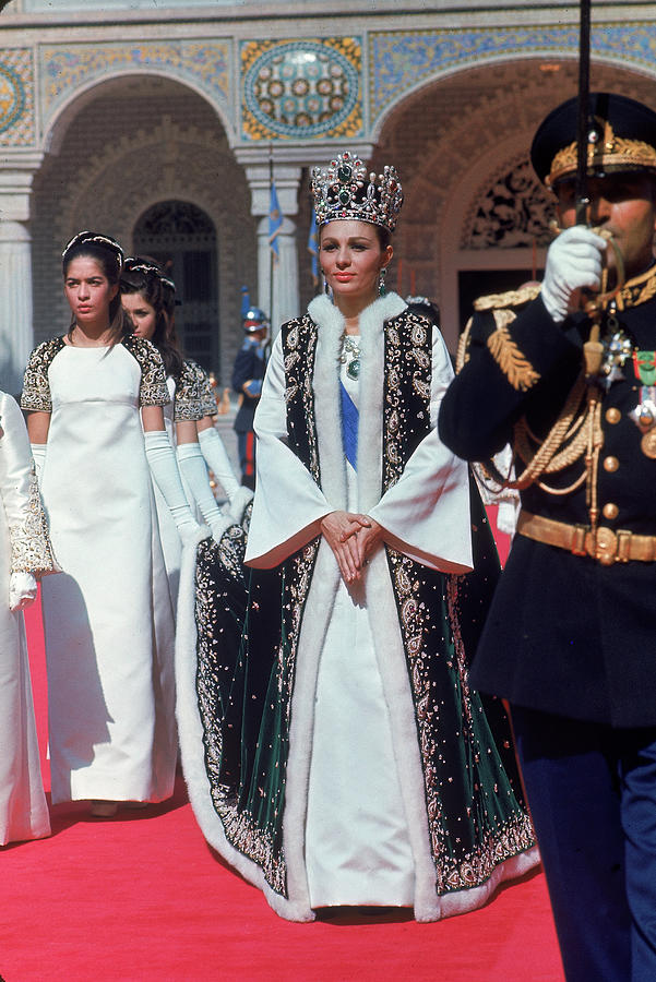 Bobak Xander 🦁 ☀️ tweet media