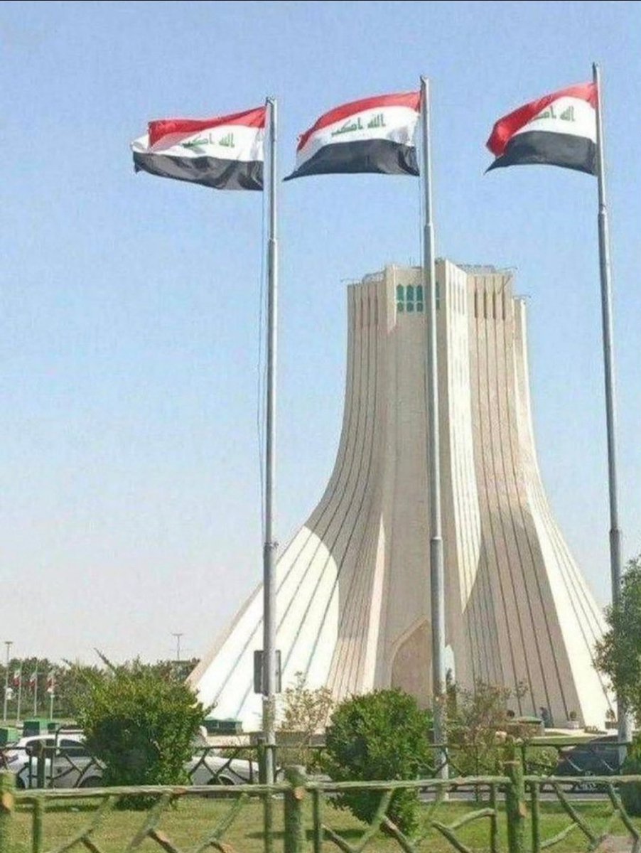 کت وومن tweet media