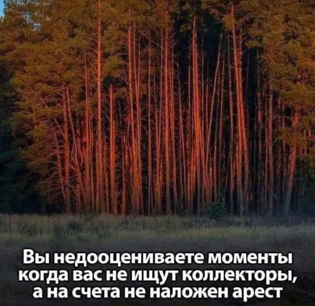 Влад 🇷🇺 tweet media