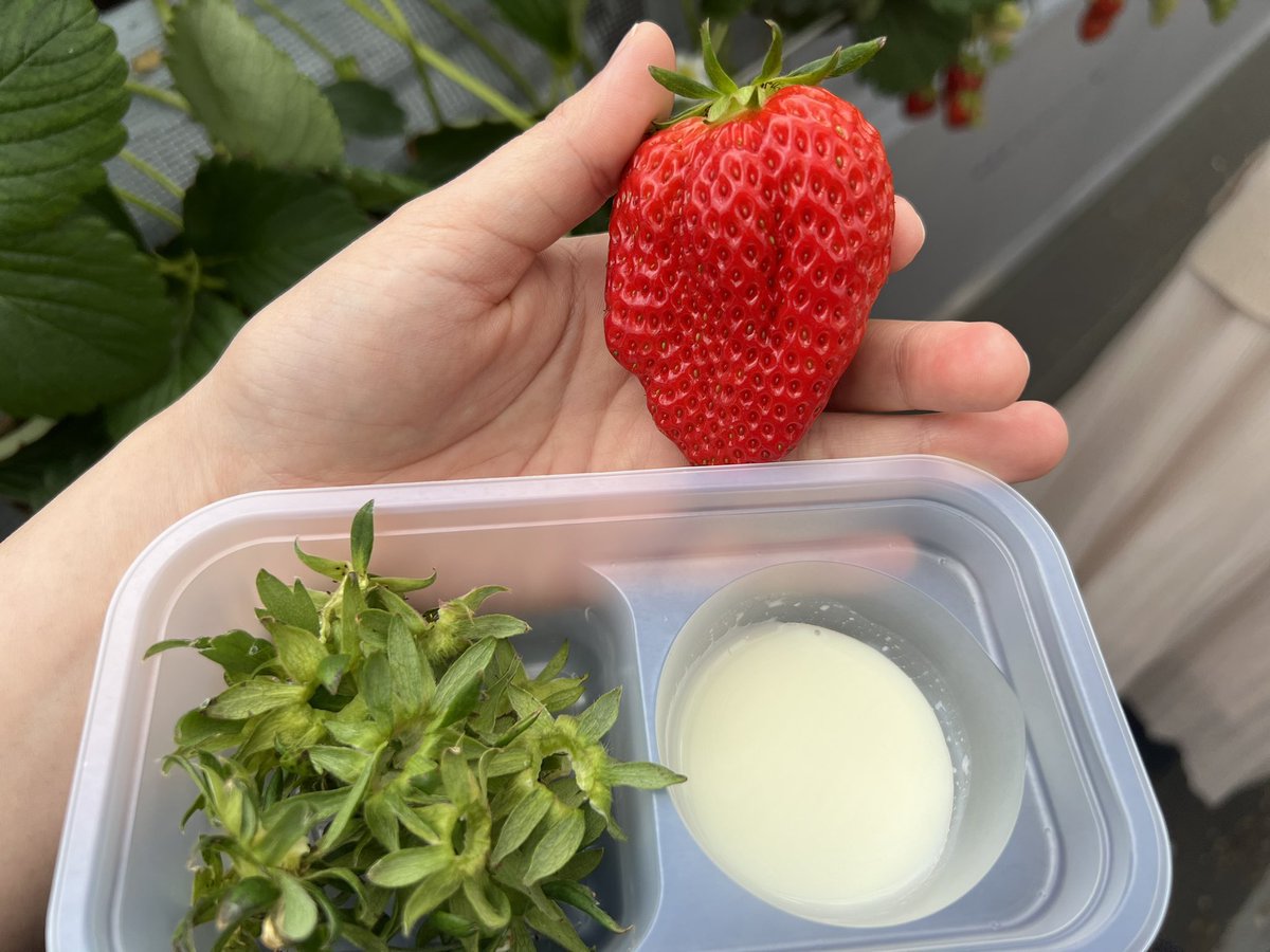 ナツメ tweet media