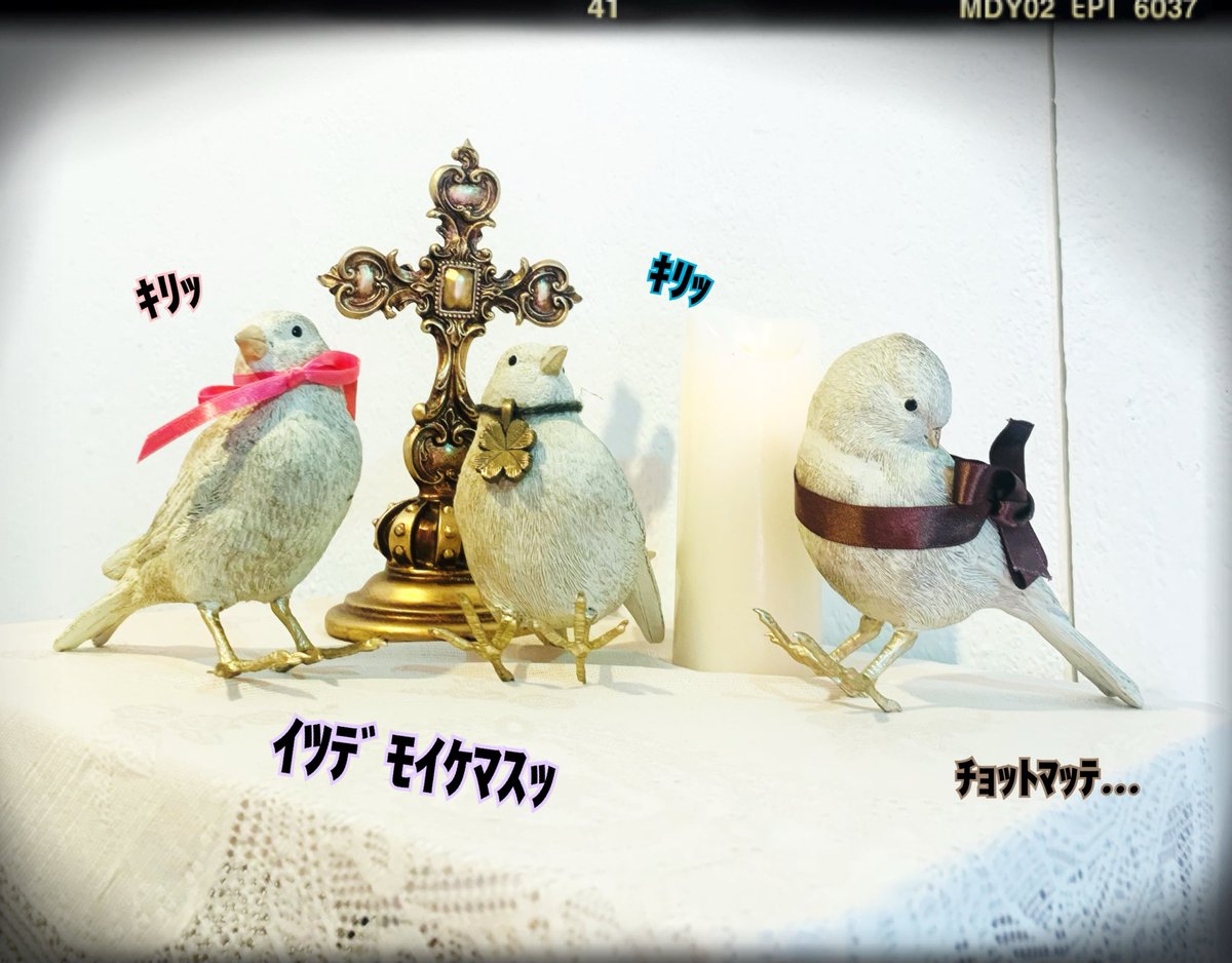 vnRURIstraynote's tweet photo. (；ﾟДﾟ)はっ！合流してまだ何も呟けてなかった！！
…とゆーことでお写真を数枚…まだ撮りたいな…upして大丈夫との事なので…ｶﾞﾝﾊﾞﾙｿﾞｰ😤💦
#風曜日18 https://t.co/gGdpjk1Kr9