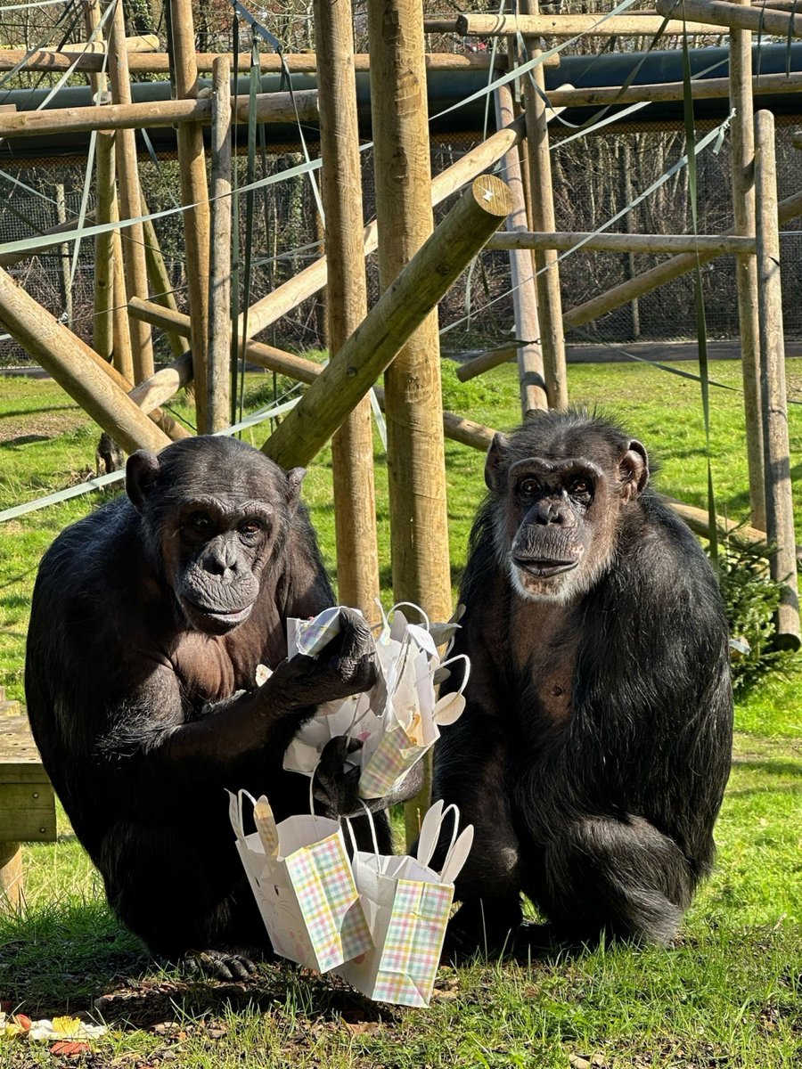 Dudley Zoo tweet media