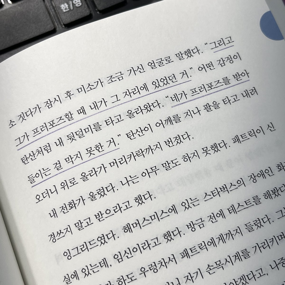 Silkeot 실컷 tweet media