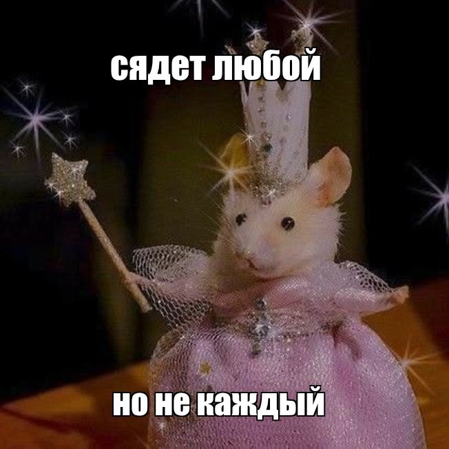 фьямметта tweet media