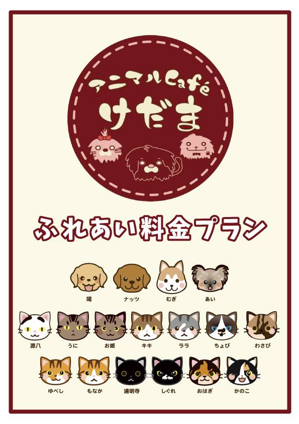 アニマルカフェけだま【貸切ふれあいのため予約制】 tweet media