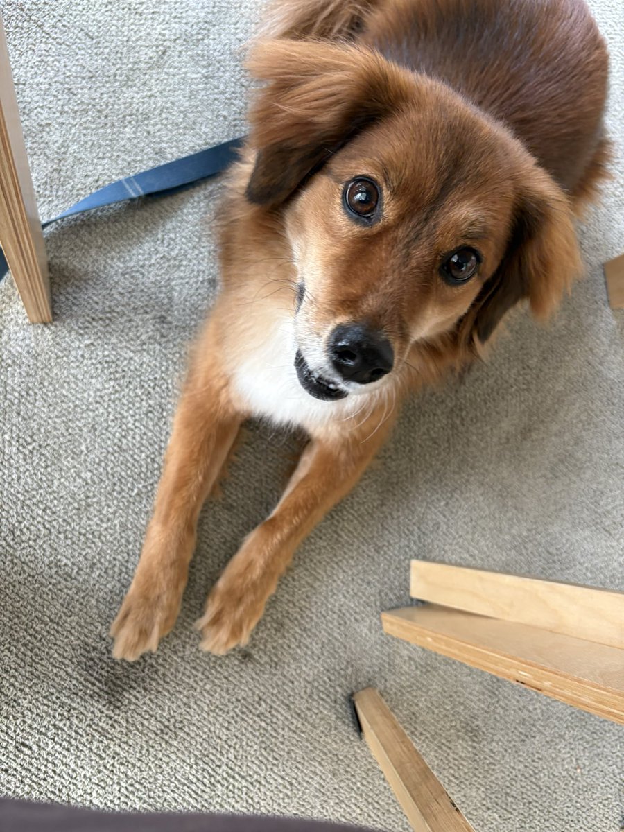 마진오 tweet media