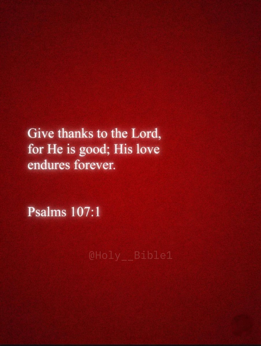 Holy Bible tweet media