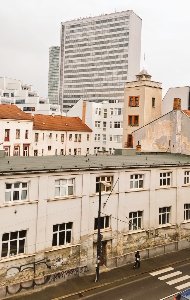 AneDitaPe's tweet image. Pretending to be a #vegetarian between meals ... for many decades ...

instagram.com/reel/DXFFeKXD9…

#myphoto