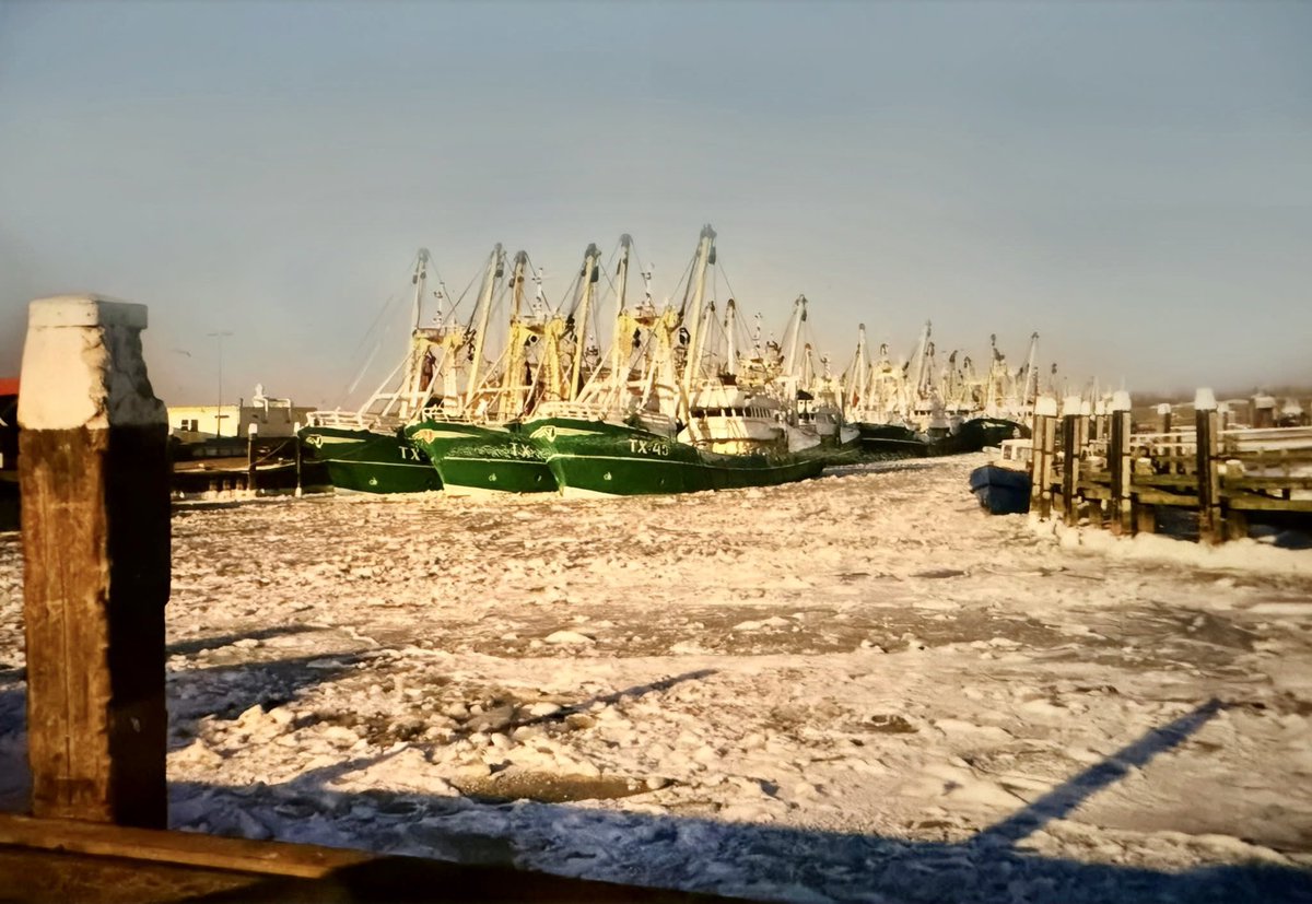 Fup Boon tweet media