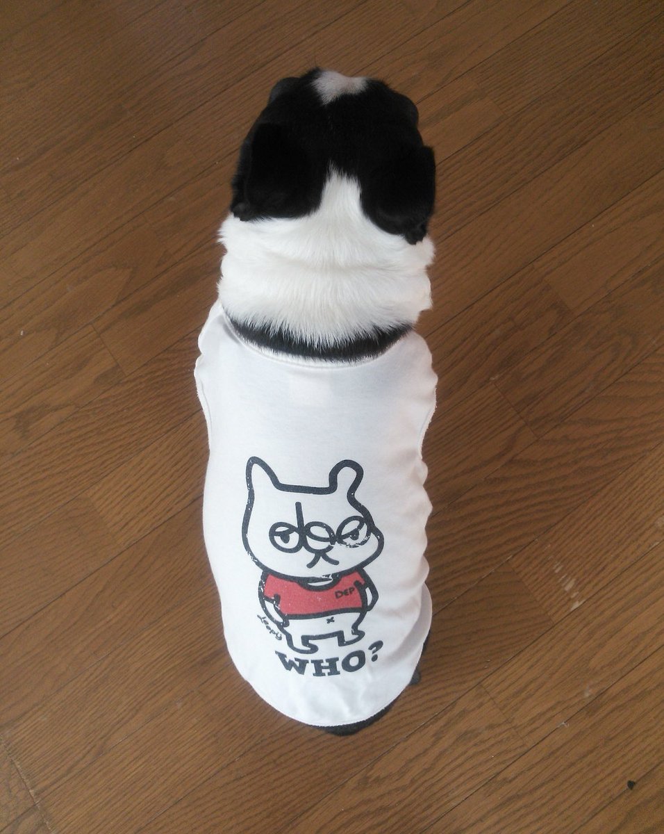 バリっ子ハッピー tweet media