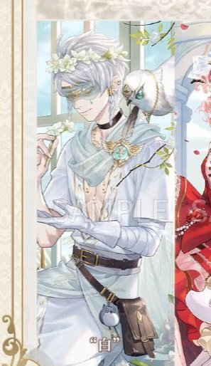 김넛티 tweet media