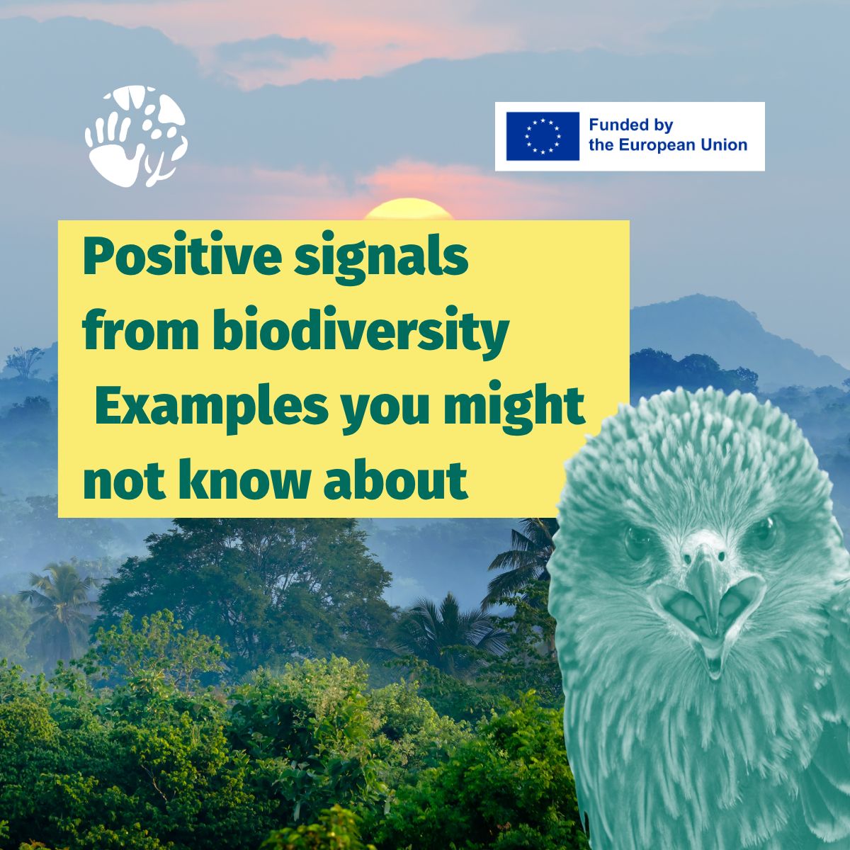 BcomingEU's tweet photo. Biodiversity trends are complex and often mixed.
But there are also positive signals that are less visible.
Here are a few examples of recovery and stabilisation observed in different ecosystems! (1/2) https://t.co/X2Dx45aEyD