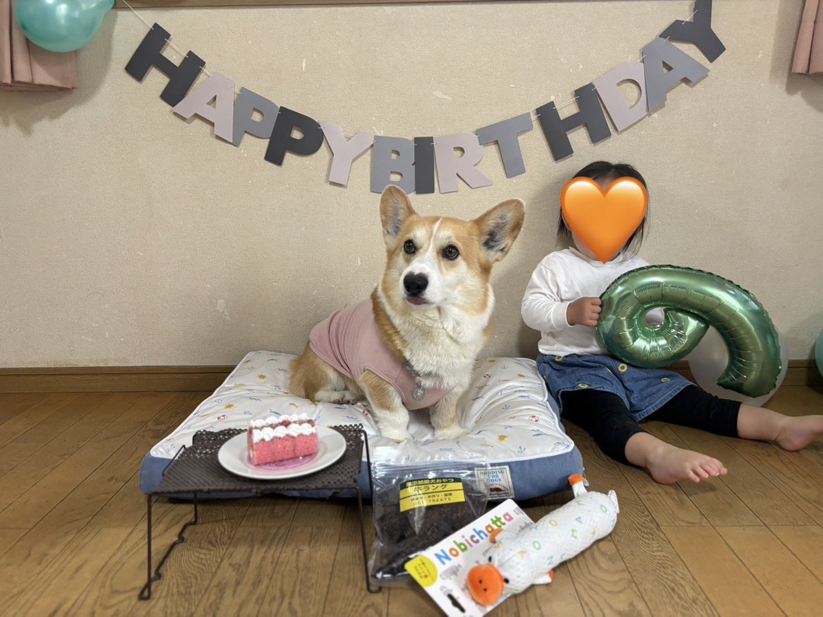 ひなた🐶 tweet media