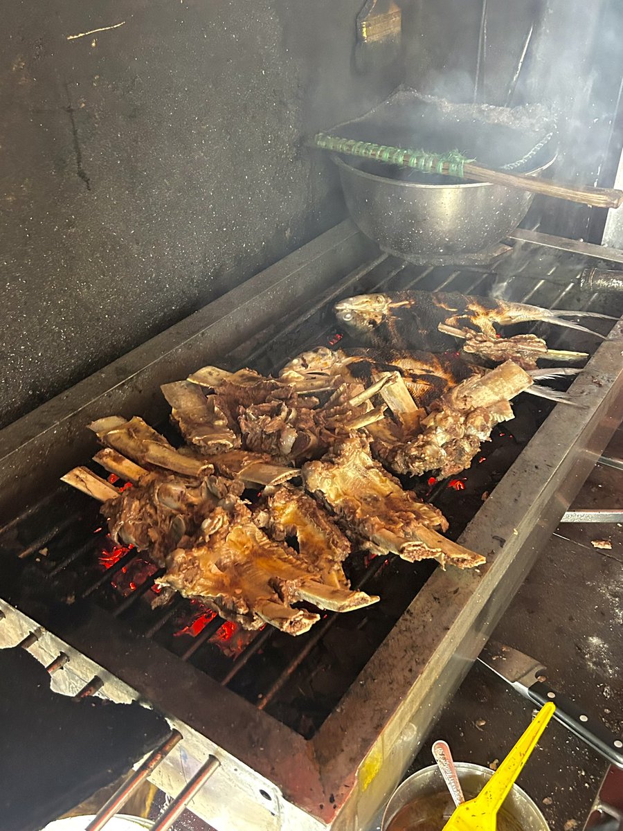 🐻🐻 tweet media