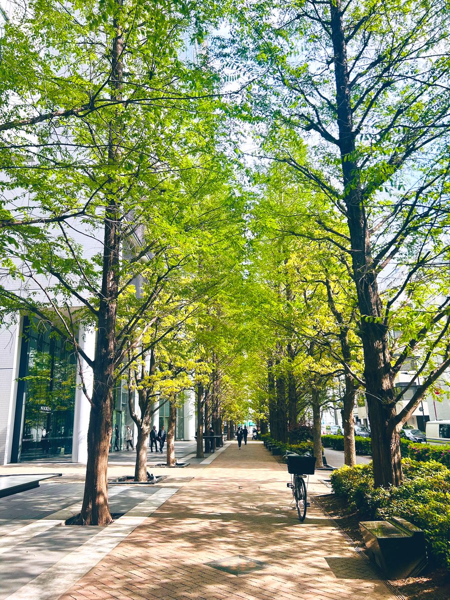 ひろし達 tweet media