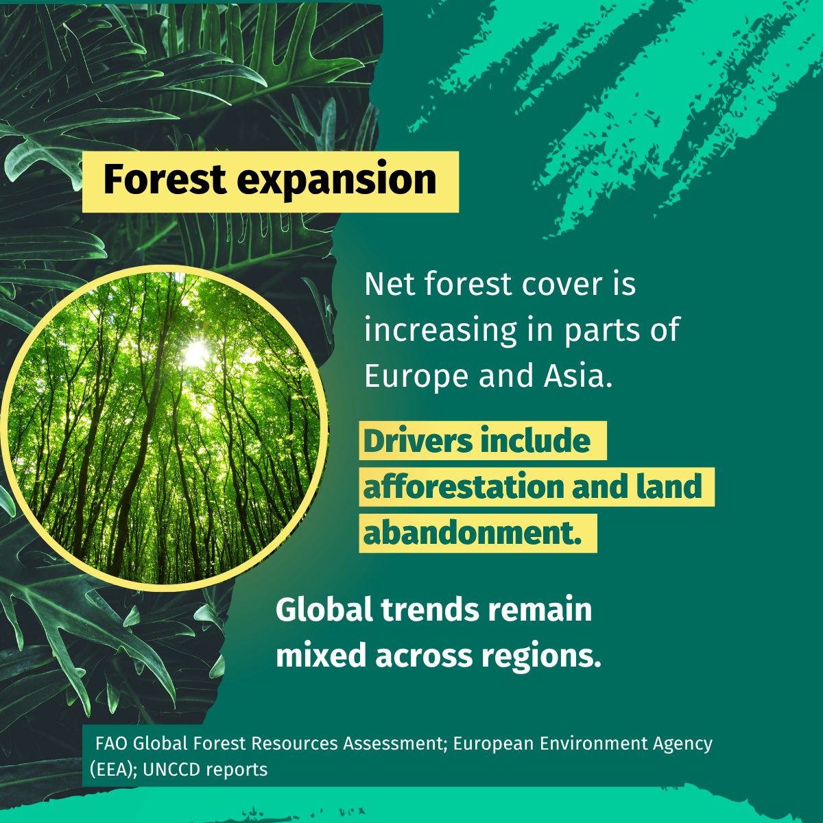 BcomingEU's tweet photo. Biodiversity trends are complex and often mixed.
But there are also positive signals that are less visible.
Here are a few examples of recovery and stabilisation observed in different ecosystems! (2/2) https://t.co/UfXfHadl52