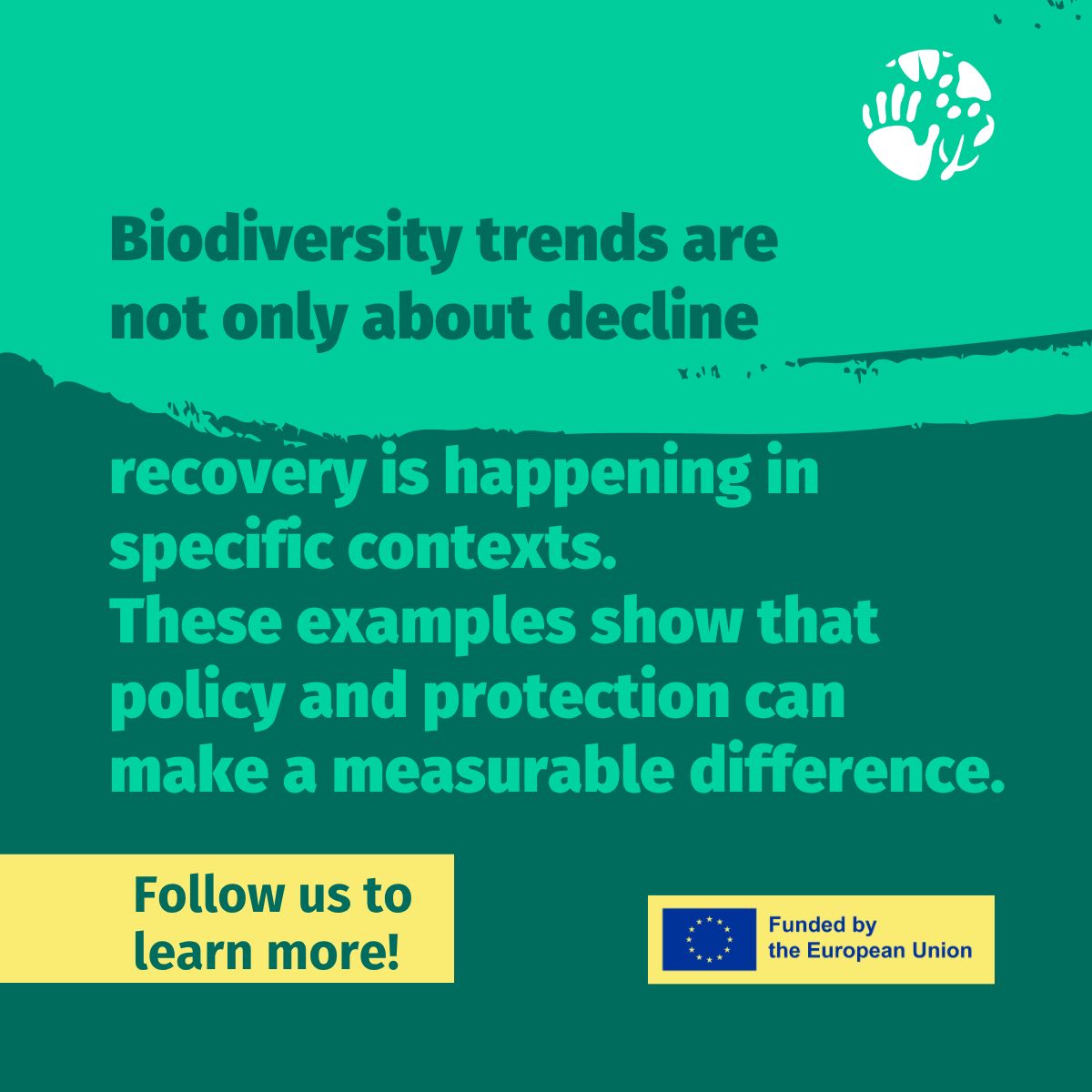 BcomingEU's tweet photo. Biodiversity trends are complex and often mixed.
But there are also positive signals that are less visible.
Here are a few examples of recovery and stabilisation observed in different ecosystems! (2/2) https://t.co/UfXfHadl52