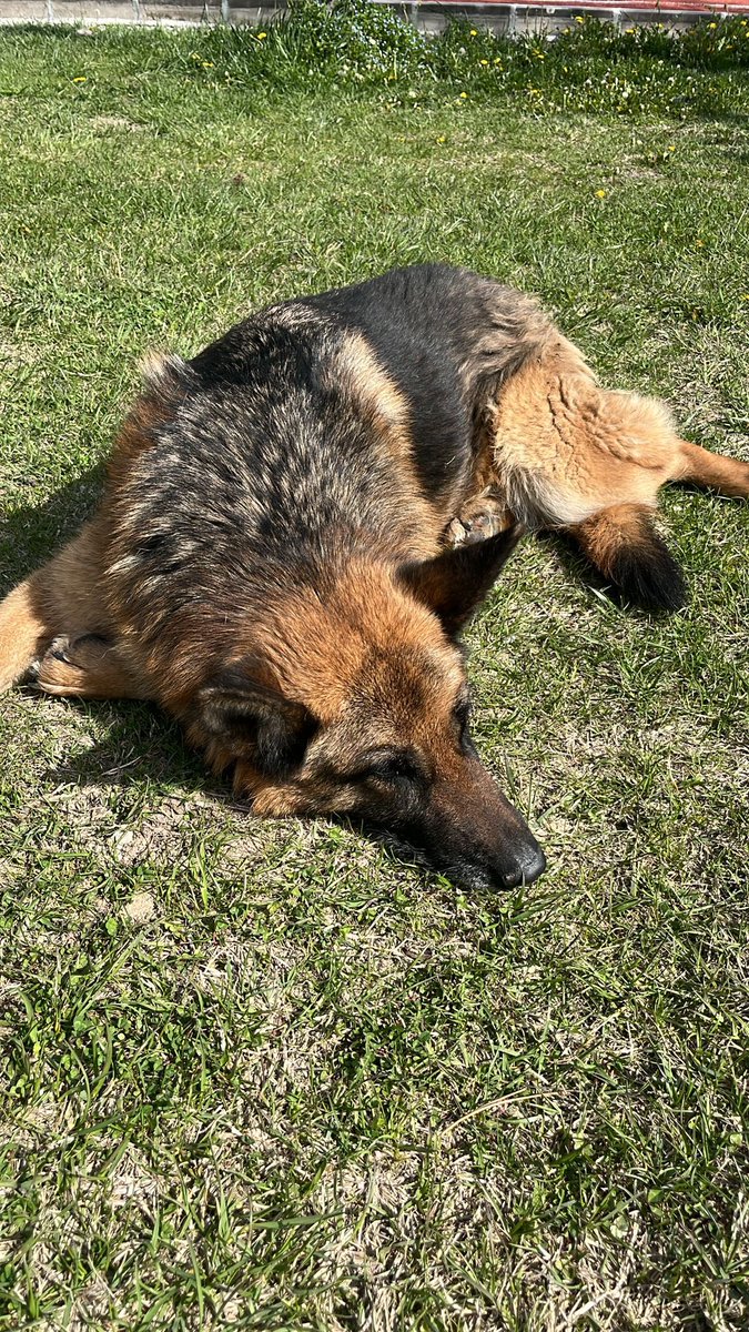 izan ışık tweet media