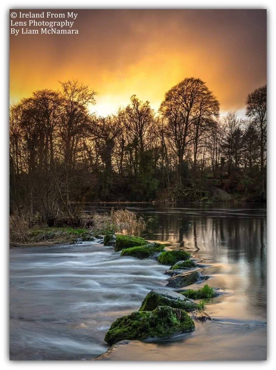 ThisIsIreland3's tweet image. Good Morning From Castleconnell &amp;amp; Ireland 🌄🇮🇪

Have a great day Wednesday everyone 💚

📍County Limerick, Ireland 🇮🇪

📸 Liam McNamara

#Ireland #Limerick #Goodmorning #Castleconnell #Wednesday #Sunrise